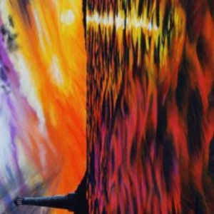 Meet your Posher, Cora